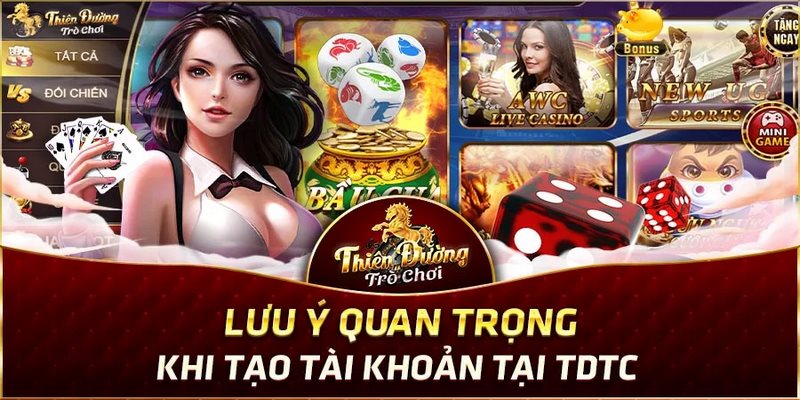 Sau khi game thủ đã nhập đầy đủ thông tin TDTC hãy kiểm tra lại một lần nữa