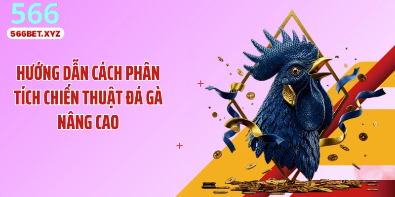 Hướng dẫn cách phân tích chiến thuật đá gà nâng cao