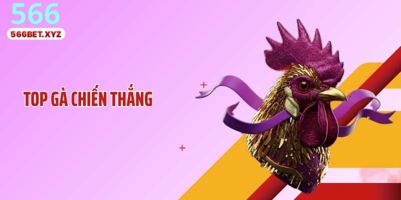 Top Gà Chiến Thắng Lộ Diện: Những Chiến Kê Thống Trị Sới